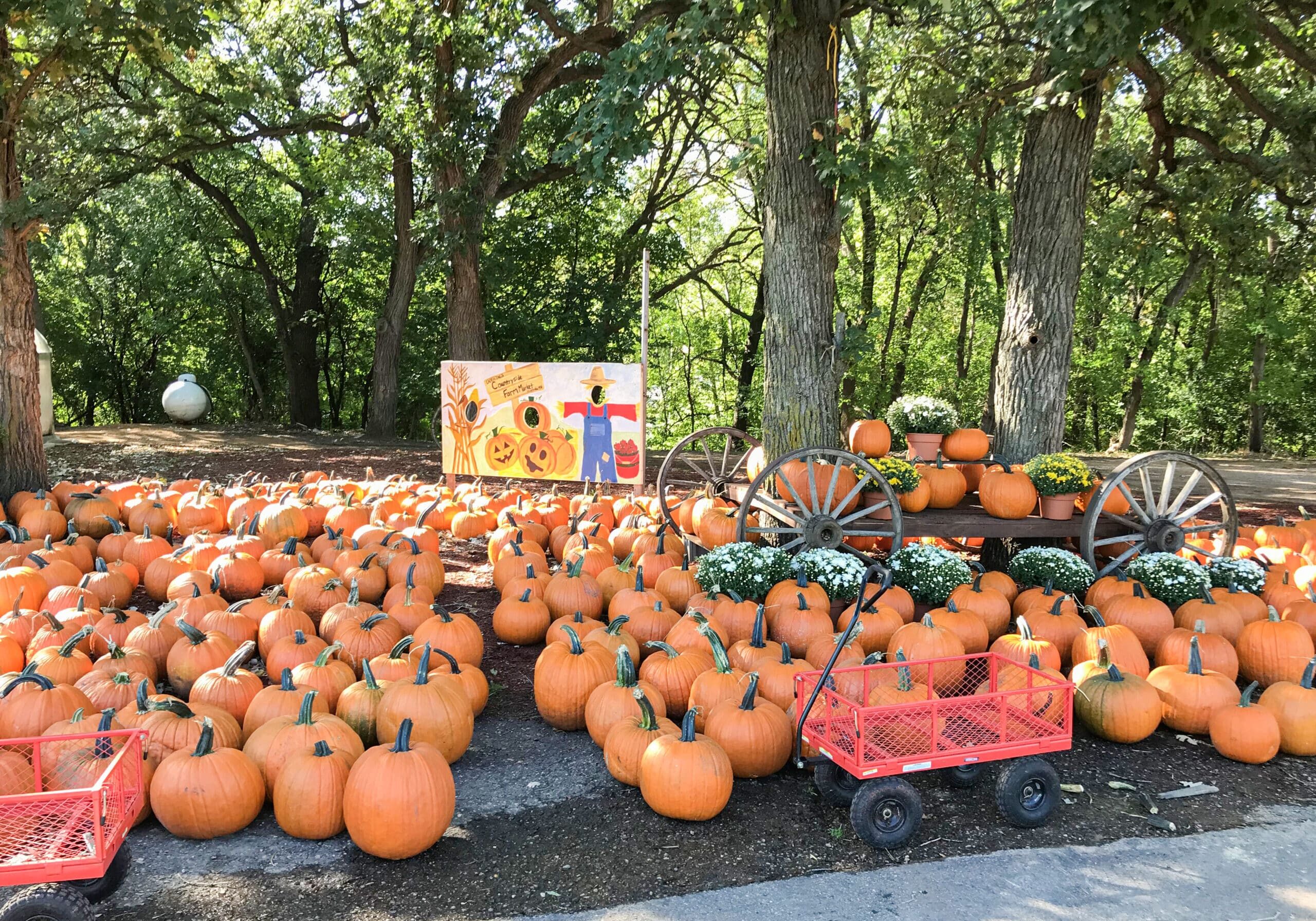 Carving Pumpkins At Doehlings Market