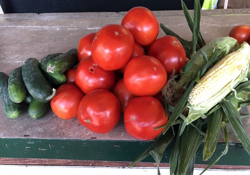 Locally Grown Cucumbers Tomatoes And Sweet Corn From Our Farm