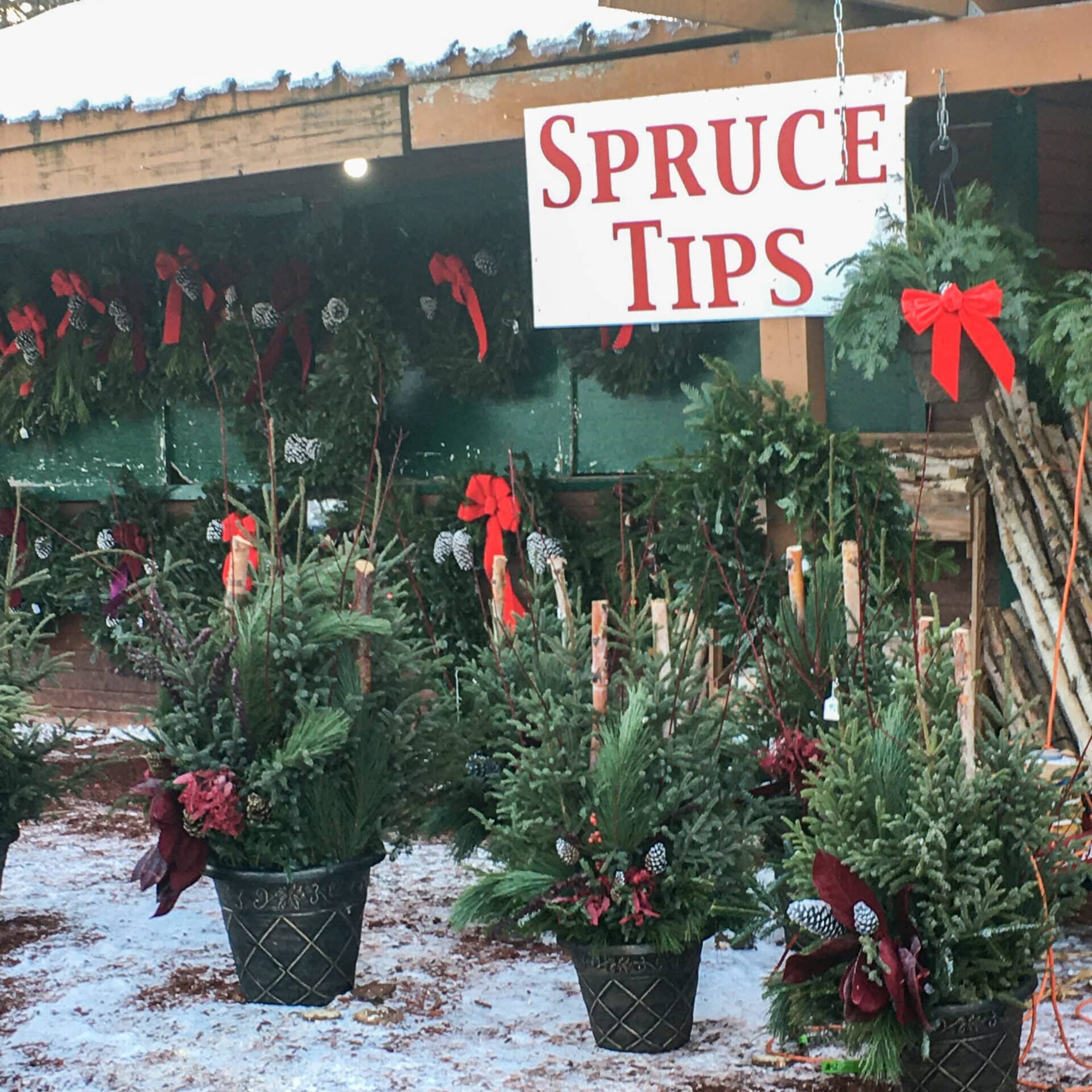 Spruce Tips Sign At The Market