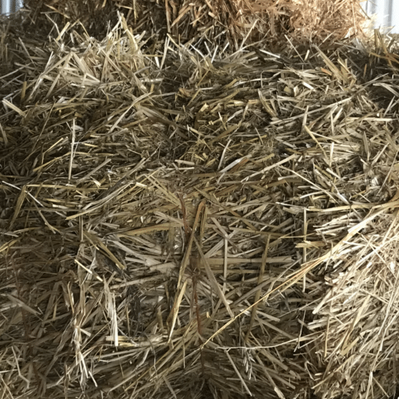 Straw Bales